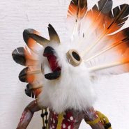 Native American White Owl Warrior